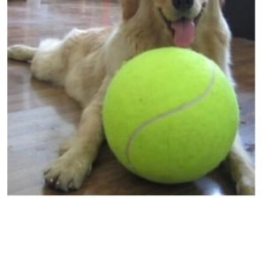 Koiranlelu tennispallo